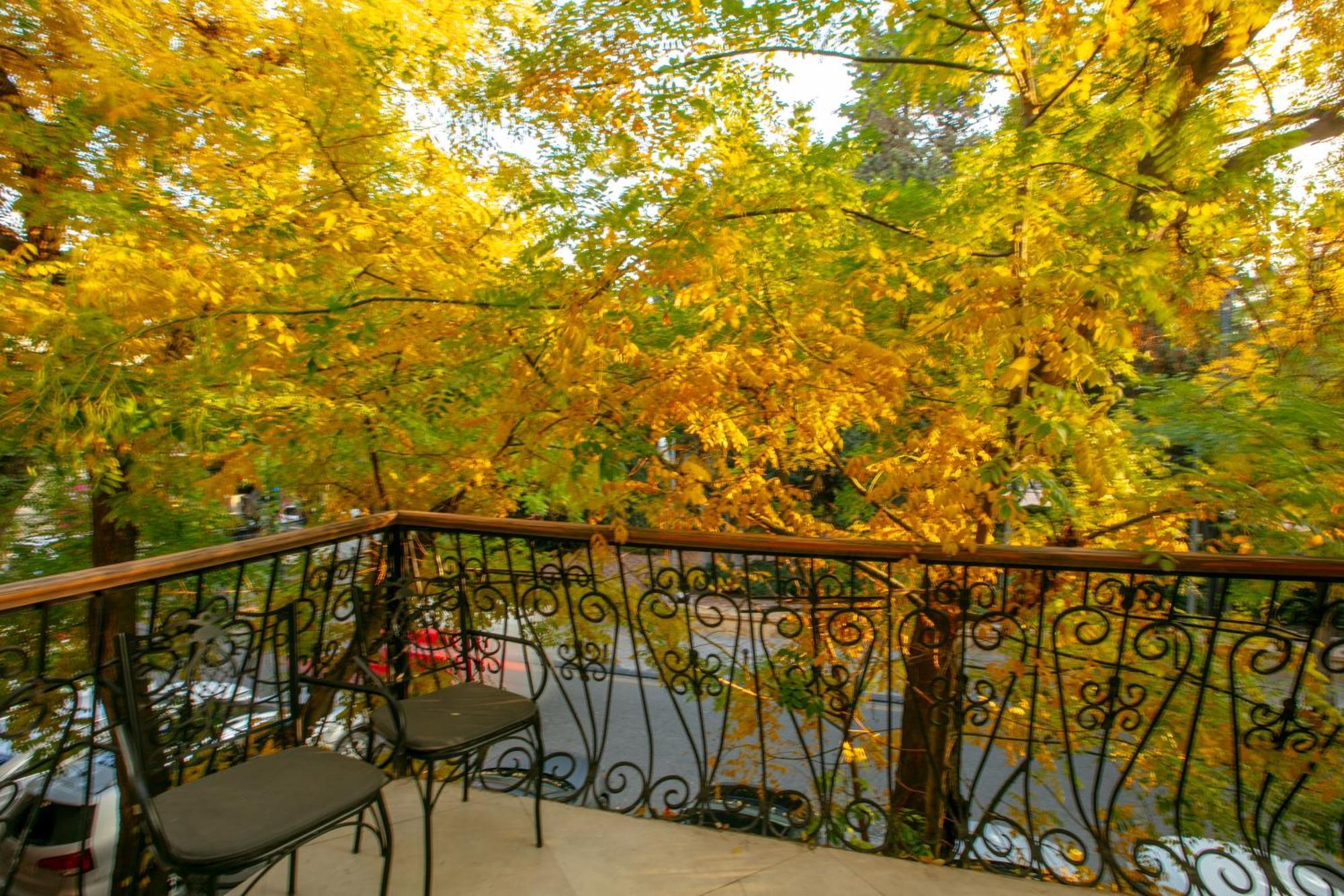 Theatrum Hotel Baku Eksteriør bilde Autumn in Aspen